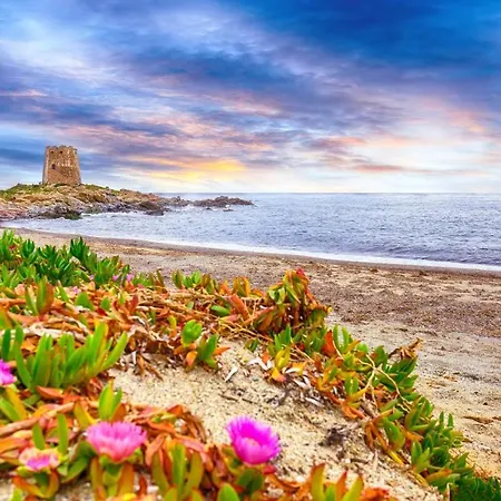 Sea View Terrace *